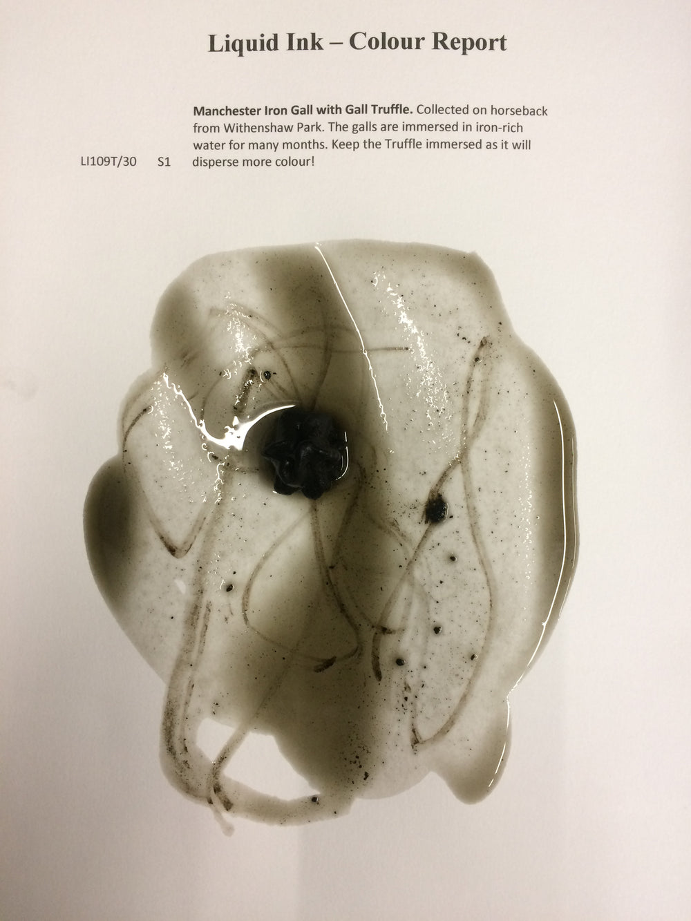 Wallace Seymour Liquid Ink - Manchester Iron Gall with Gall Truffle