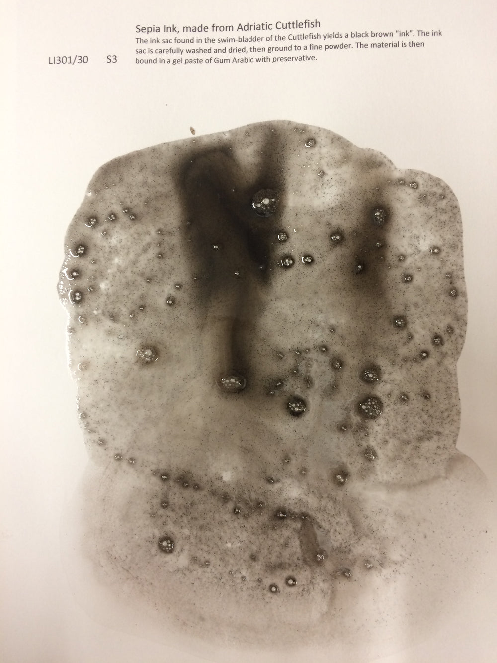 Wallace Seymour Liquid Ink - Sepia Ink, made from Adriatic Cuttlefish