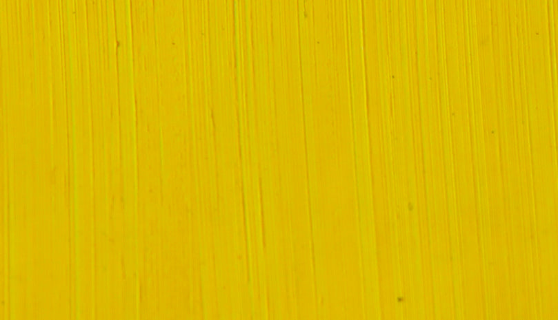 Michael Harding Citron Oil Paint