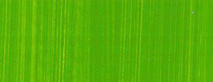 Wallace Seymour Oil Paint: Cadmium-Chromium Green Lightest