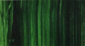 Wallace Seymour Oil Paint: Sap Green (PG8)